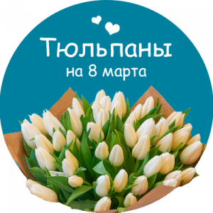 Купить тюльпаны в Тейково